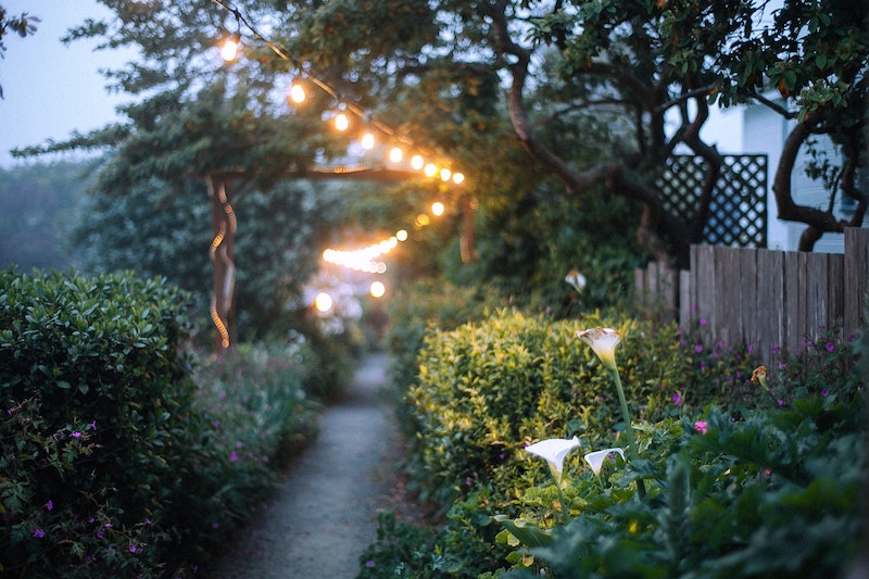 solar globe lights