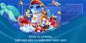 YL Gaming
